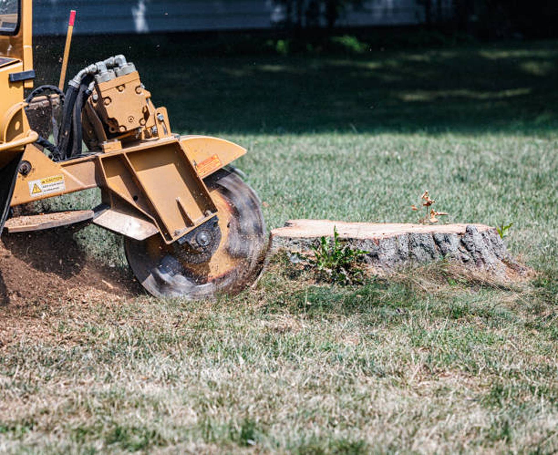 Stump Grinding & Stump Removal Service Near Birmingham - Alabama Tree & Land