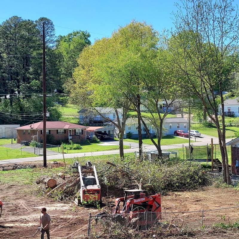 Property Clean-Up Lot Land Clearing Bobcat Work