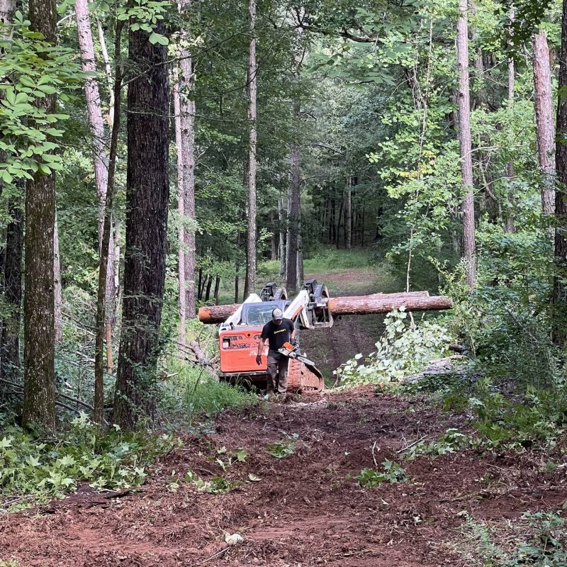 Tree Removal Bobcat Work